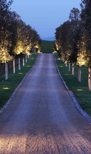 Con-Lux Progetto Illuminazione Viale