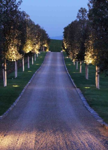 Con-Lux Progetto Illuminazione Viale