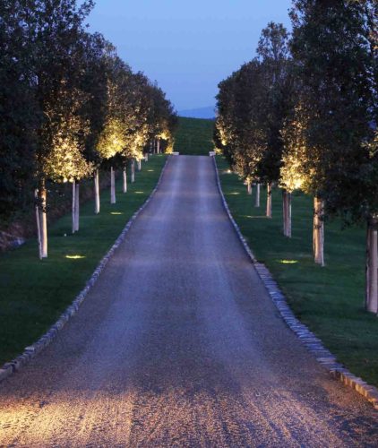 Con-Lux Progetto Illuminazione Viale